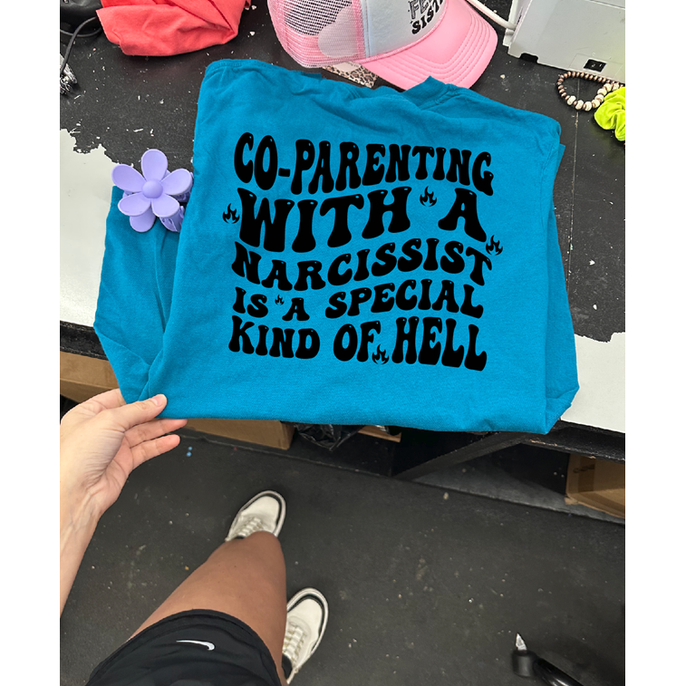 co-parenting with a Narcissist Tee or sweatshirt