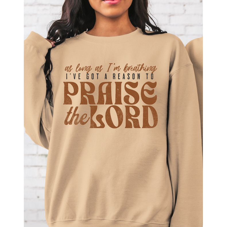 Praise the Lord Christian Tee or sweatshirt