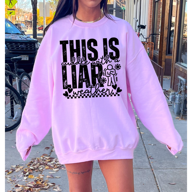 cuddle with a liar weather Tee or Sweatshirt