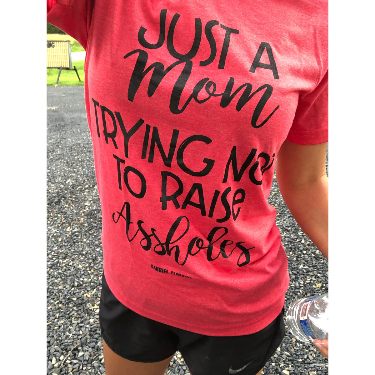 Just a mom trying not to raise assholes Tee or sweatshirt