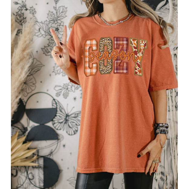 Cozy Fall Tee or Sweatshirt