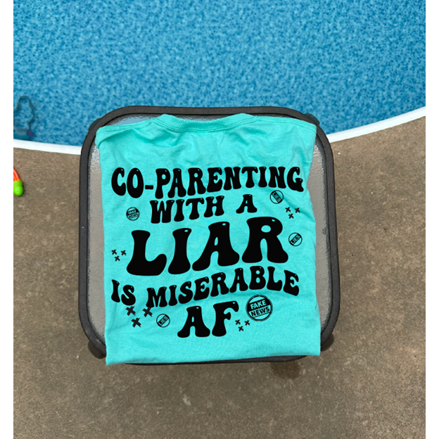 Co-parenting with a LIAR tee or sweatshirt