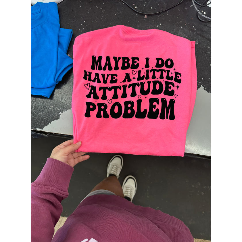 maybe I do have a LITTLE attitude problem Tee or sweatshirt