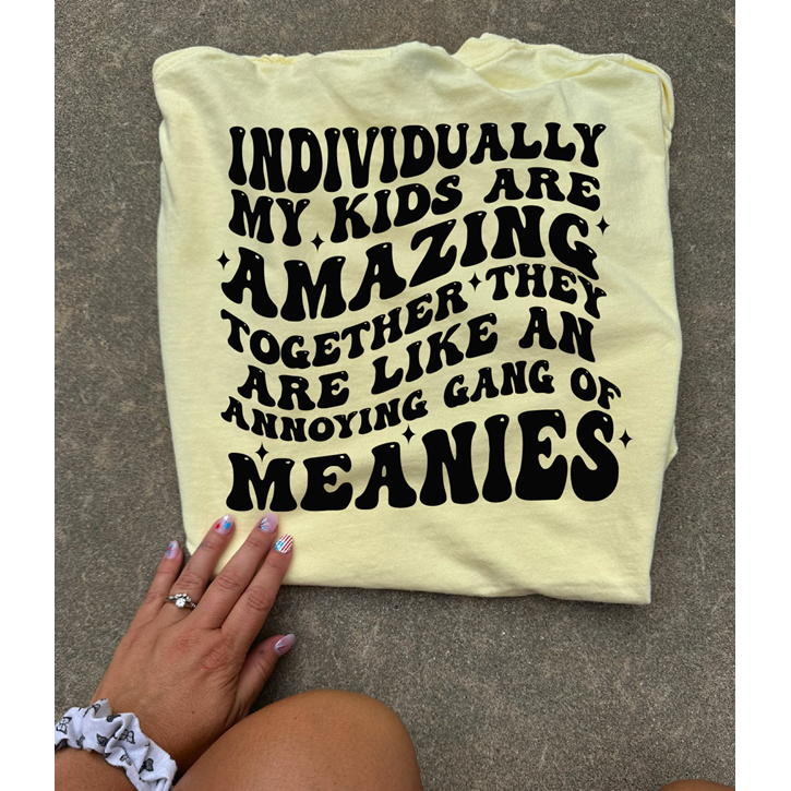 My kids are meanies  tee or sweatshirt