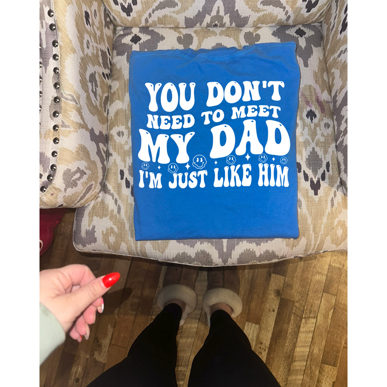 You don&#39;t need to meet my dad Tee or sweatshirt