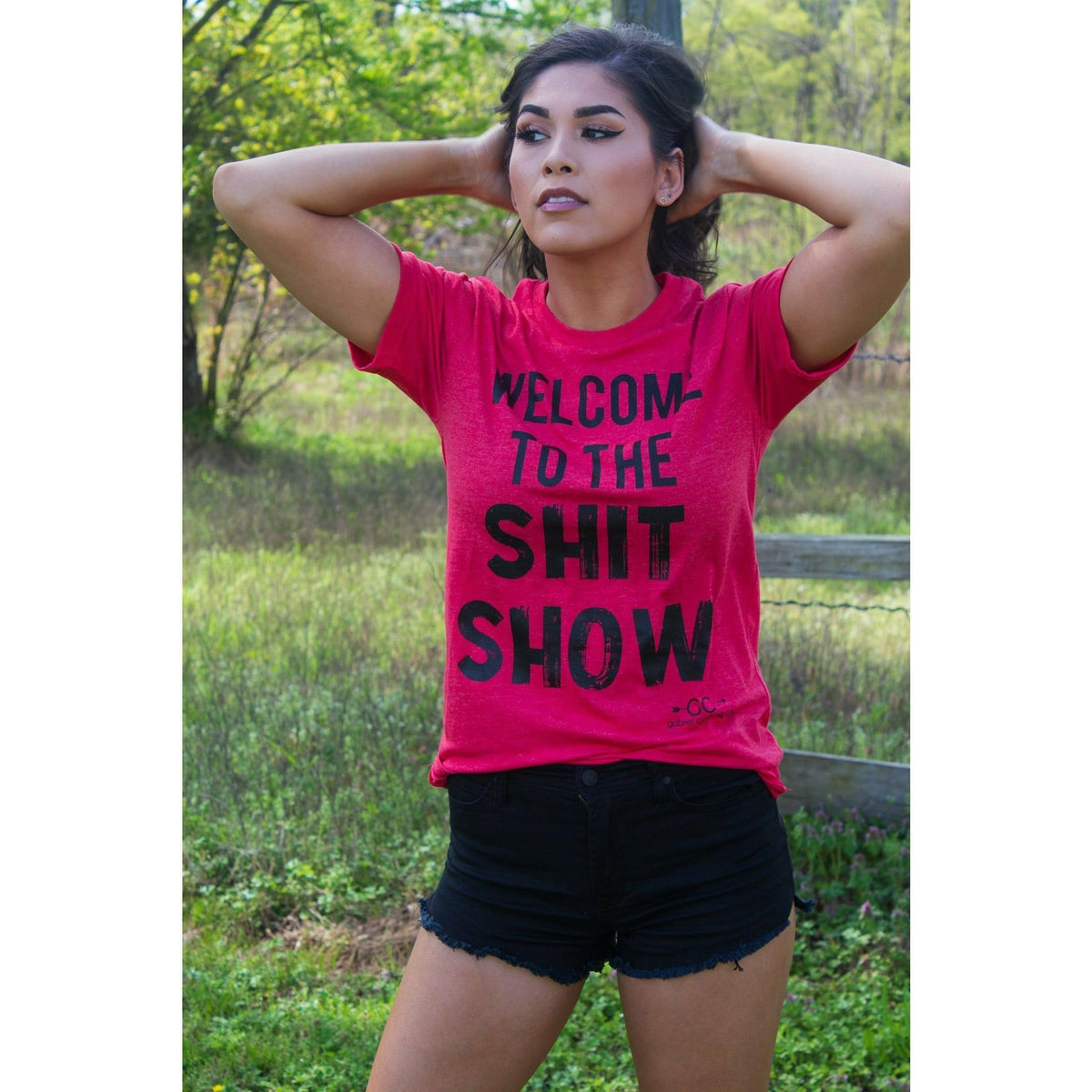 Welcome to the Shit Show tee or sweatshirt